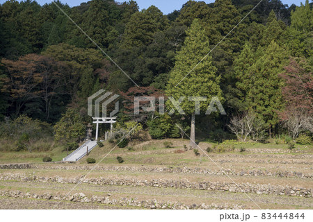 志多備神社（島根県松江市八雲町） 83444844