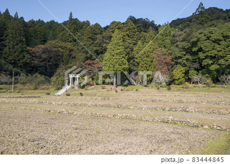 志多備神社(島根県松江市八雲町) 志多備神社(島根県松江市八雲町) 83444845