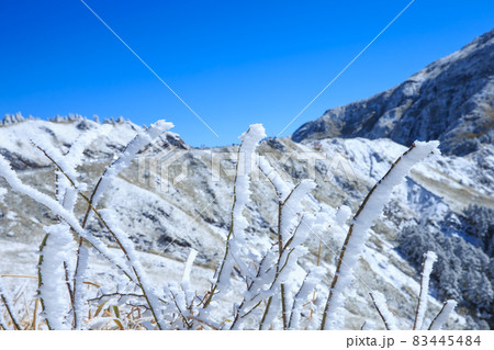 アジア人 アジアン アジア風 83445484