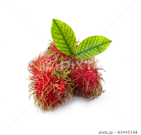 Rambutan isolated on white background Rambutan isolated on white background 83445548