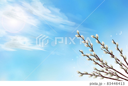 水彩のネコヤナギと青空 83446413