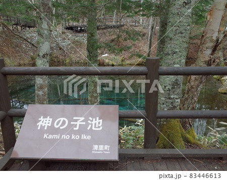 神の子池_清里町 神の子池_清里町 83446613