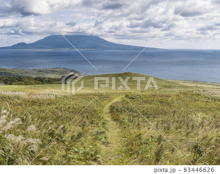 北海道 礼文島 桃岩展望台コース / Rebun Island, Hokkaido, Japan 83446626