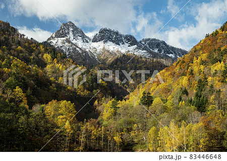 定山渓ダムの紅葉 定山渓ダムの紅葉 83446648