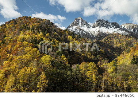 定山渓ダムの紅葉 定山渓ダムの紅葉 83446650
