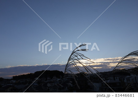 朝の空とススキ 朝の空とススキ 83446681