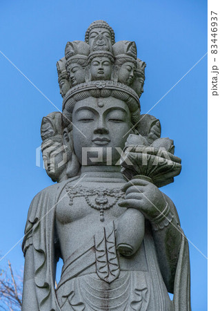 円福寺 83446937