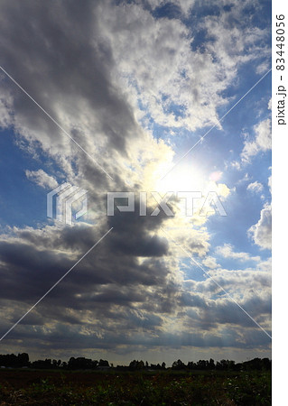 秋　青空　太陽　雲　畑 83448056
