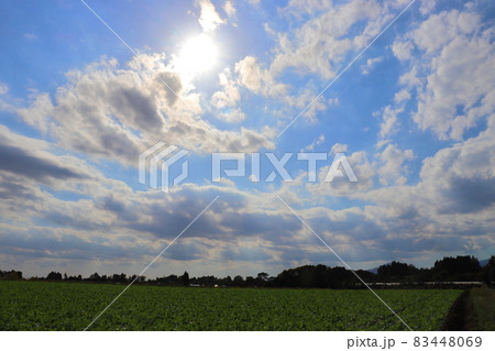 秋 青空 太陽 雲 畑 秋 青空 太陽 雲 畑 83448069