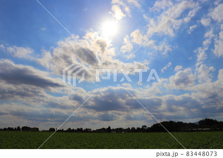 秋 青空 太陽 雲 畑 秋 青空 太陽 雲 畑 83448073