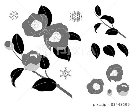 冬の花 椿のイラスト 白黒のイラスト素材