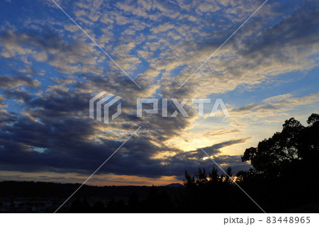 秋 青空 雲 夕焼け 木 秋 青空 雲 夕焼け 木 83448965
