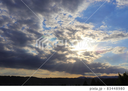 秋　青空　雲　夕焼け　木 83448980