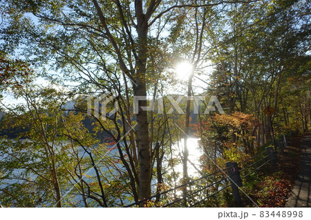 【風景】大雪山国立公園 然別湖 【風景】大雪山国立公園 然別湖 83448998