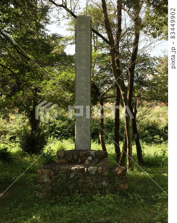 菅谷館跡(比企) 菅谷館跡(比企) 83449902