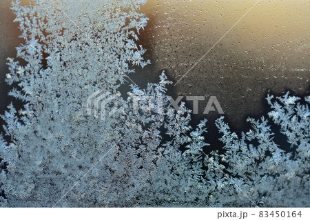 寒さで窓にできた霜の結晶 寒さで窓にできた霜の結晶 83450164