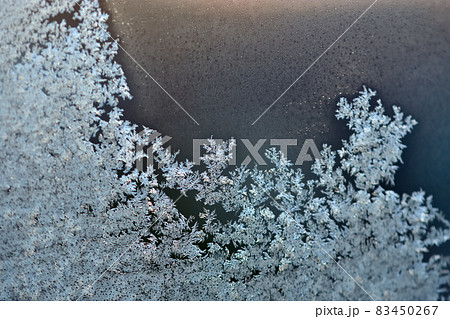 寒さで窓にできた霜の結晶 寒さで窓にできた霜の結晶 83450267