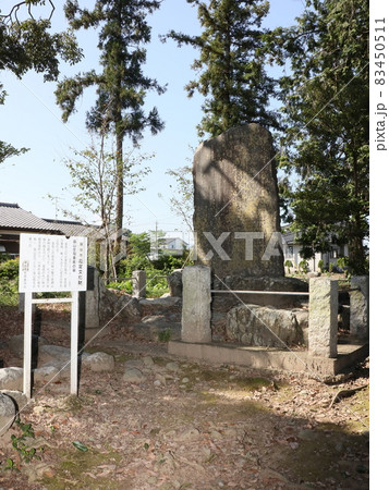 畠山重忠公史跡公園（深谷） 83450511