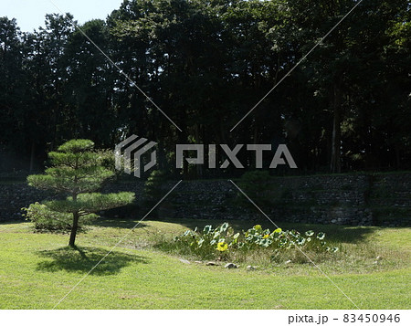 鉢形城公園（寄居） 83450946