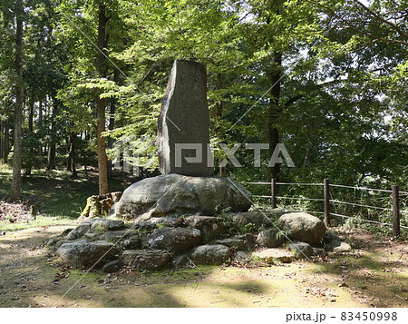 鉢形城公園（寄居） 83450998