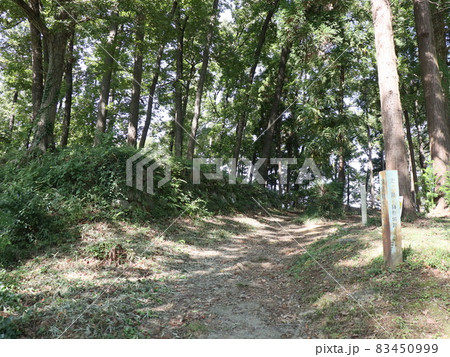 鉢形城公園(寄居) 鉢形城公園(寄居) 83450999
