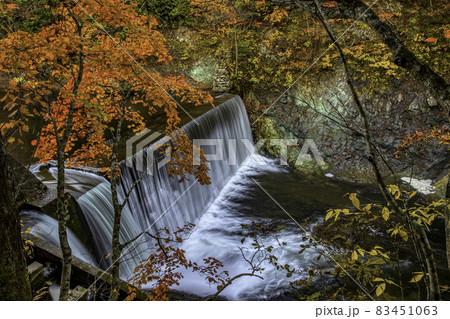 砂防ダムの秋 83451063