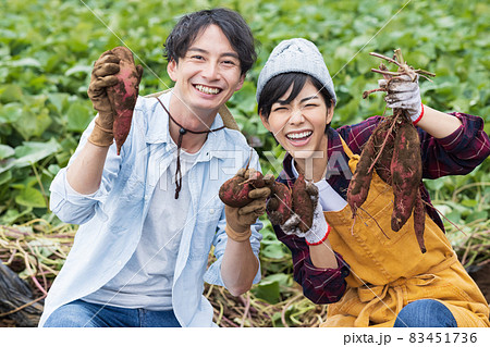 さつまいもを掘る若い男女 83451736