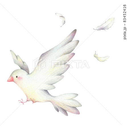 羽ばたく白い鳥と舞う羽 手描き色鉛筆画のイラスト素材