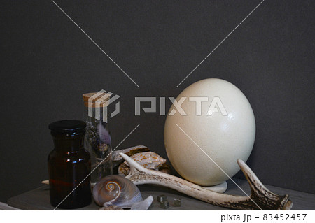 自然の産物（横） 83452457