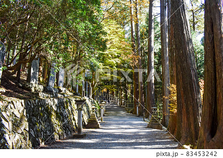 秋の三峯神社_秩父観光_林の参道と灯籠 83453242
