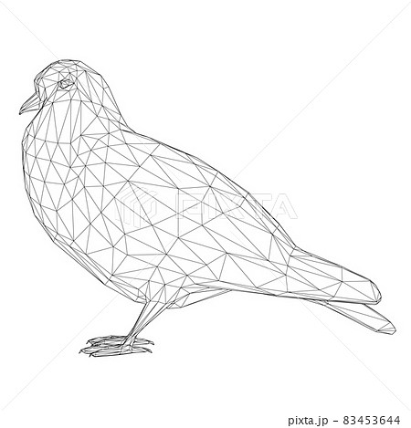Dove wireframe from black lines isolated on white background. 3D. Vector illustration Dove wireframe from black lines isolated on white background. 3D. Vector illustration 83453644