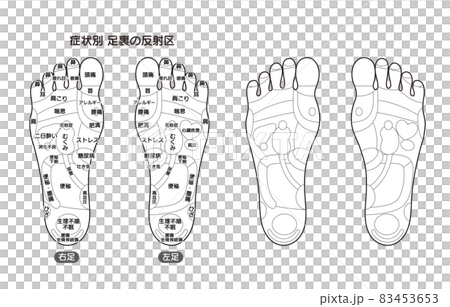 症状別足裏の反射区・足つぼ　モノクロ図解イラスト 83453653