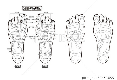 足裏の反射区・足つぼ モノクロ図解イラスト 足裏の反射区・足つぼ モノクロ図解イラスト 83453655