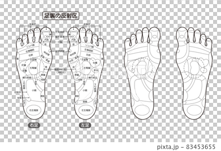 足底反射區和穴位的單色插圖 83453655