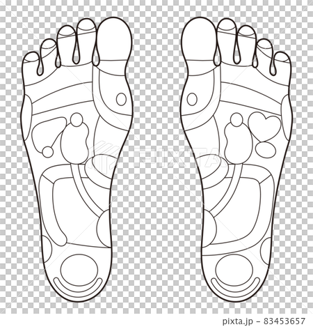 Monochrome illustration of the reflex zone and acupuncture points on the sole of the foot 83453657