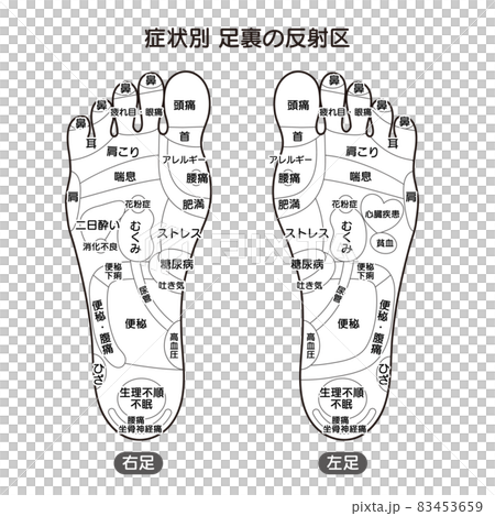症状別足裏の反射区・足つぼ　モノクロ図解イラスト 83453659