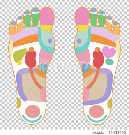 足裏反射区のカラフルイラスト 83453660