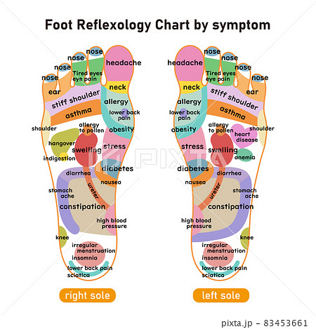 症状別足裏の反射区・足つぼ 図解イラスト(英語版)のイラスト素材 [83453661] - PIXTA