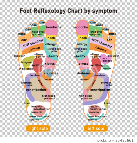 症状別足裏の反射区・足つぼ　図解イラスト(英語版) 83453661