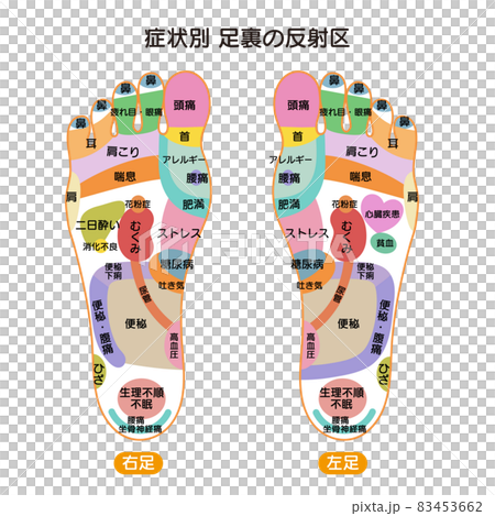 症状別足裏の反射区・足つぼ　図解イラスト 83453662