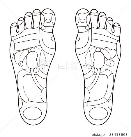 足裏の反射区 足つぼ モノクロイラストのイラスト素材