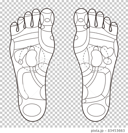 足裏の反射区 足つぼ モノクロイラストのイラスト素材