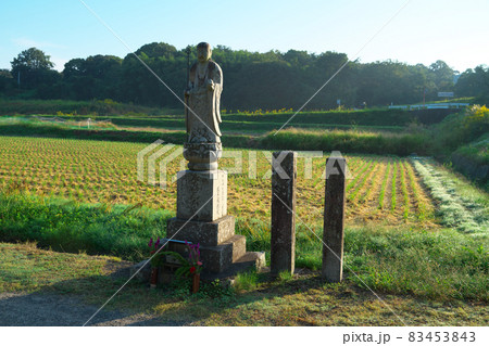 【四国八十八ヶ所】遍路道　朝日を背に佇むお地蔵さんと刈り終えた田んぼ　香川県三豊市　大興寺門前 83453843