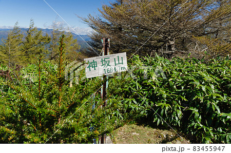 神坂山の山頂 神坂山の山頂 83455947