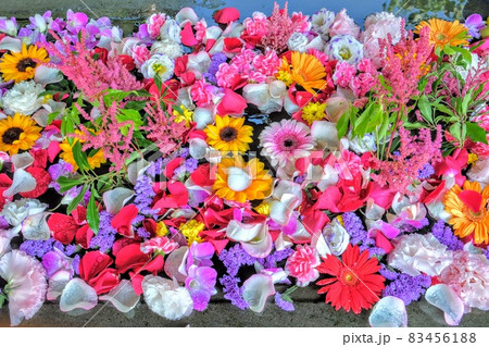 行田市 前玉神社の花手水 83456188