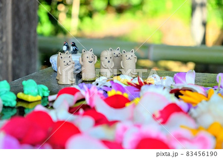 行田市 前玉神社の花手水 行田市 前玉神社の花手水 83456190