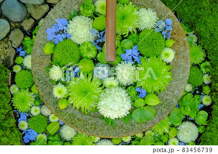 行田八幡神社の花手水 行田八幡神社の花手水 83456739