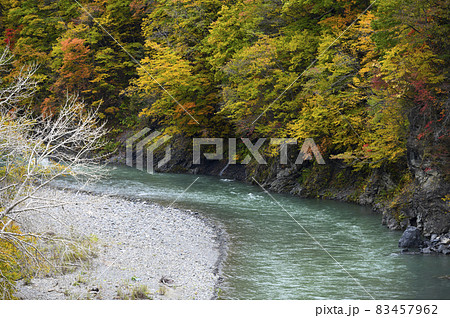見頃を迎えた沙流川渓谷の紅葉（北海道 日高） 83457962