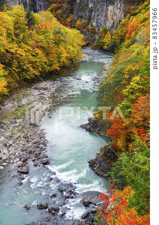 見頃を迎えた沙流川渓谷の紅葉（北海道 日高） 83457966