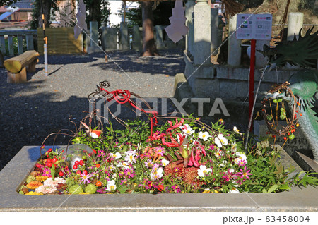手水花(西宮八幡宮) 手水花(西宮八幡宮) 83458004